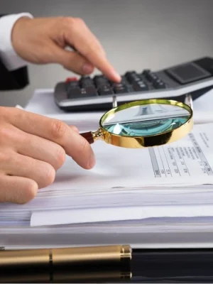 how_to_become_an_internal_auditor_pic_1